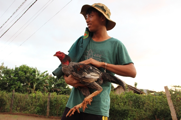 Anh Lê Văn Hoàng với con gà cưng của mình.
