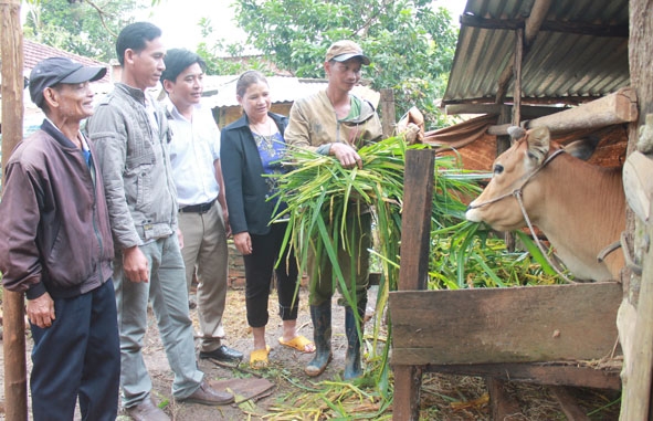 Lãnh đạo Ban Dân vận Huyện ủy Ea Kar và Ban tự quản buôn M'Oa (xã Cư Huê) thăm mô hình phát triển kinh tế  của gia đình anh Y Lơ Niê. 