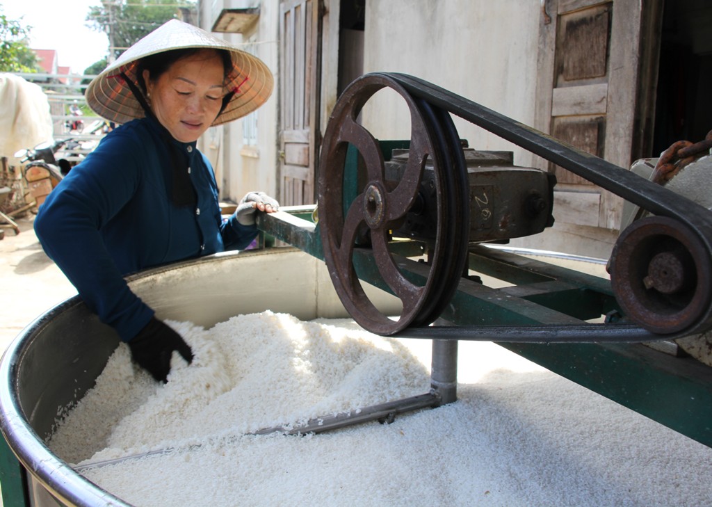 Để có miến ngon thì vấn đề quan trong đầu tiên là phải chọn được gạo, bột dong chất lượng tốt, ngâm trong vòng một đêm