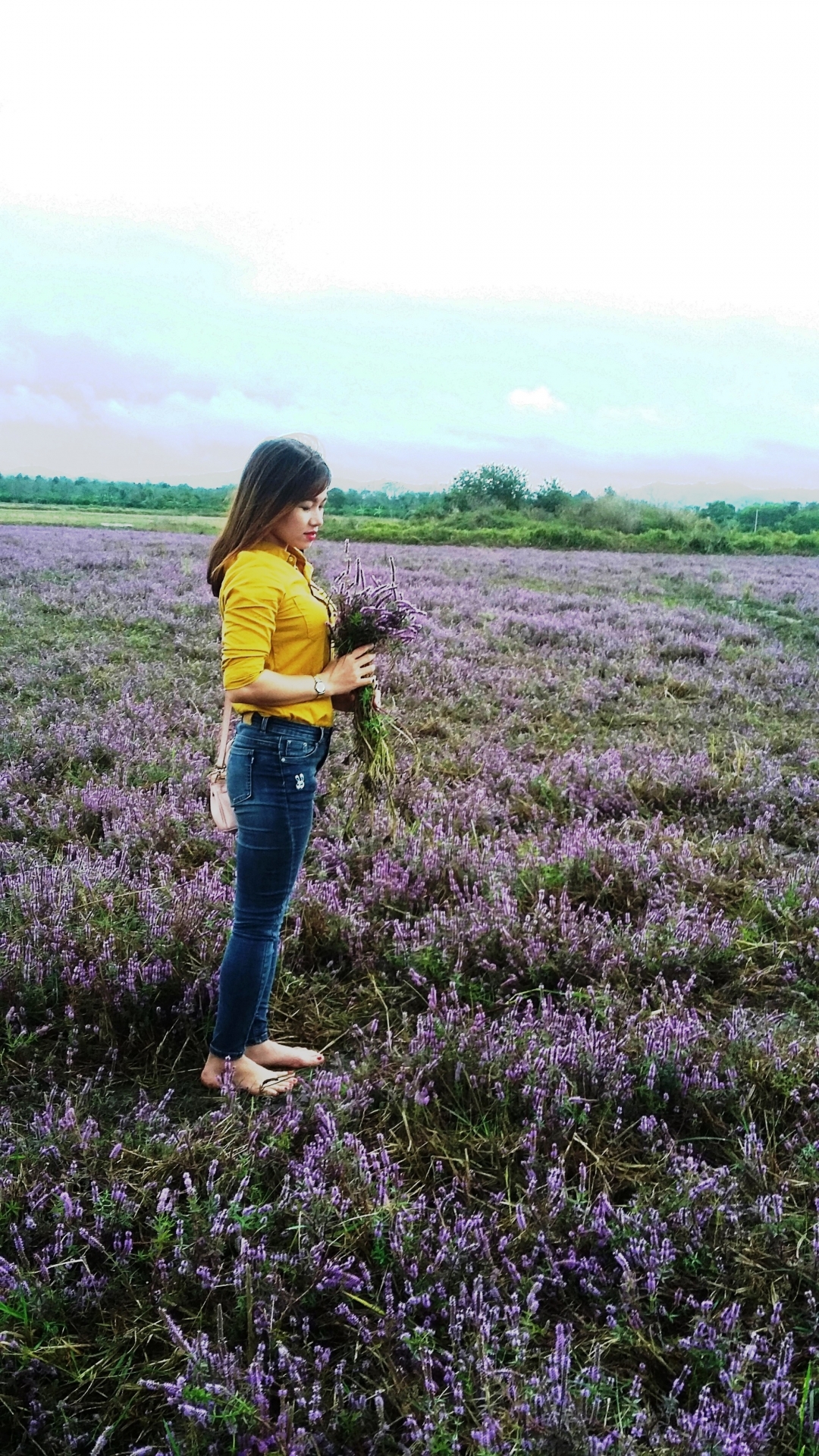Lãng mạn bên hoa trong ánh chiều tà.