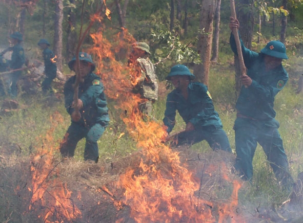 LLVT huyện Ea Kar tham gia diễn tập phòng chống cháy rừng năm 2016. 