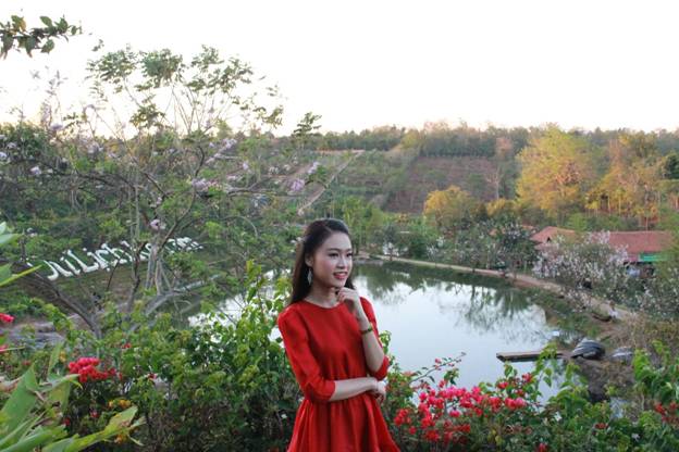 Đài sứ 