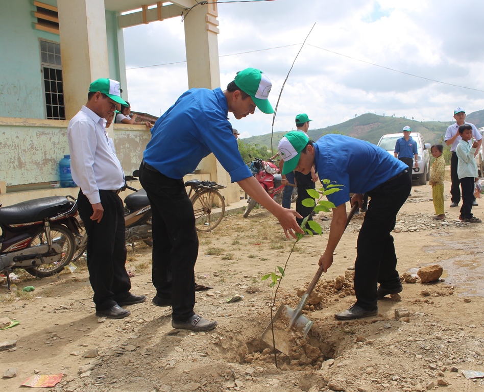 trồng cây xanh