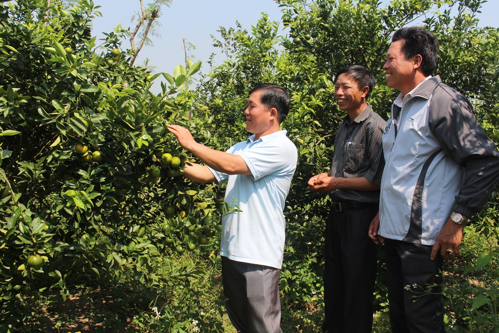 Hội viên nông dân huyện Ea Kar chia sẻ kinh nghiệm sản xuất