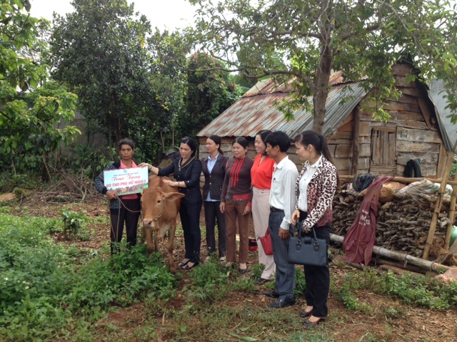 Đại diện Hội Phụ nữ huyện Ea Kar tặng bò sinh sản  cho gia đình chị H Loan Niê, ở buôn Sứk, xã Ea Đar (huyện Ea Kar)