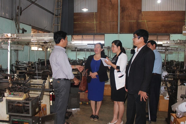 Cán bộ Hội Nông dân tỉnh tham quan mô hình sản xuất kinh doanh giỏi của hội viên nông dân TP. Buôn Ma Thuột. 