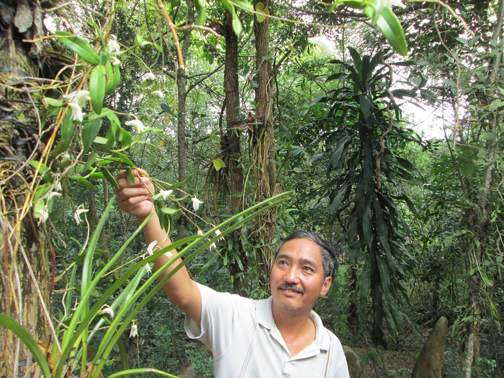 Ông Đỗ Tuấn Hưng bên vườn lan rừng