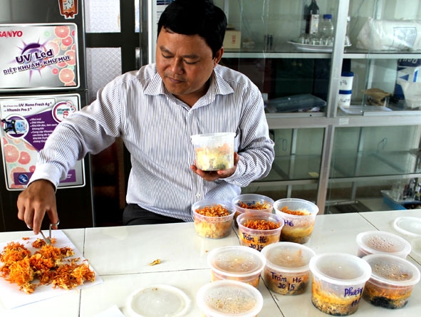 Thầy Nguyên  làm  thí nghiệm lên men nấm.  ( Ảnh  nhân vật cung cấp).