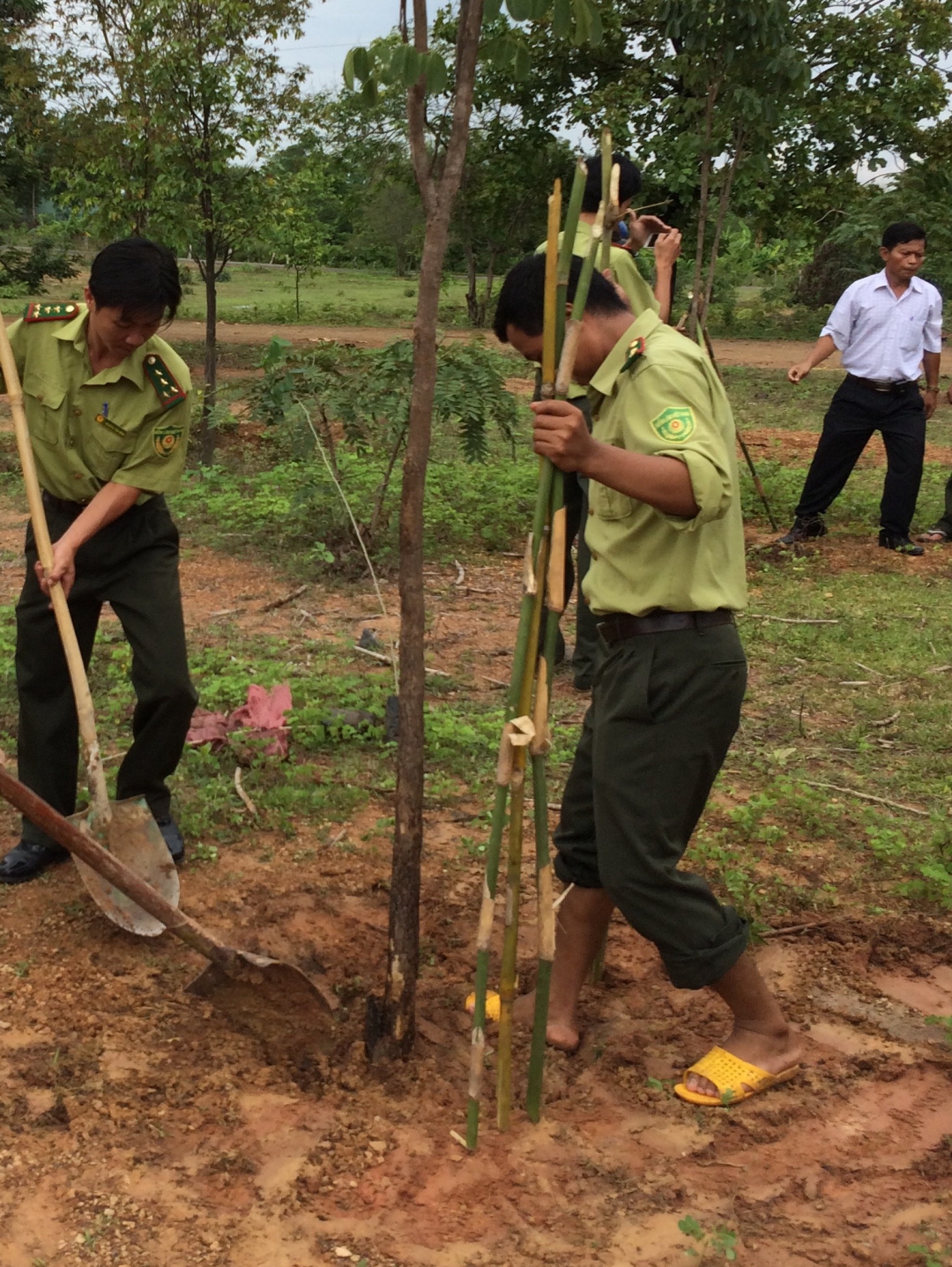 Cán bộ Vườn Quốc gia Yok Đôn tham gia trồng cây xanh