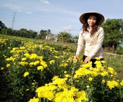 Chị H'Lan trong vườn hoa cúc của gia đình.