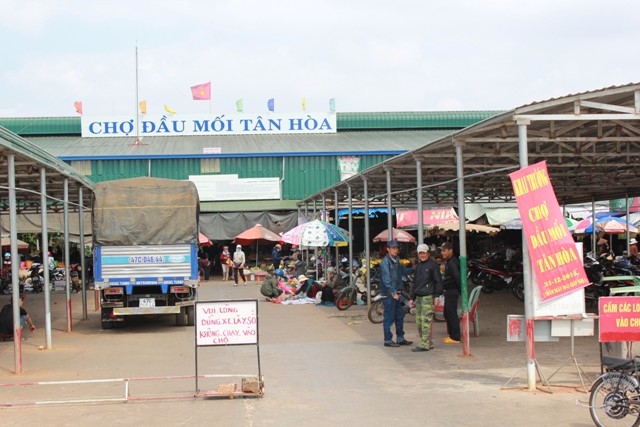 chợ đầu mối tân Hòa