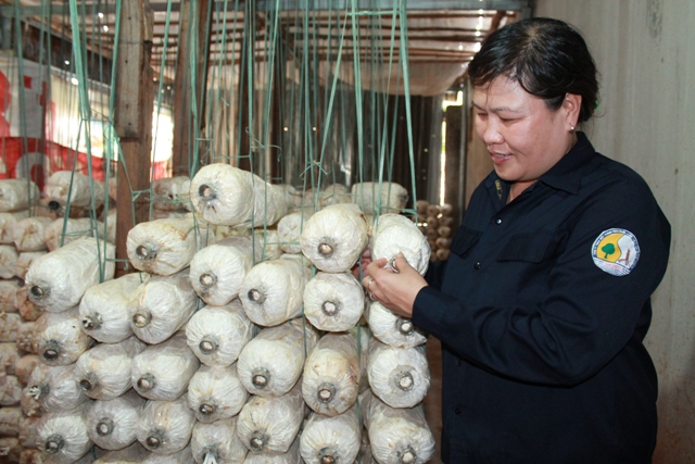 Chị Nguyễn Thị Nhàn tranh thủ thời gian rảnh rỗi trồng nấm để kiếm thêm thu nhập. 