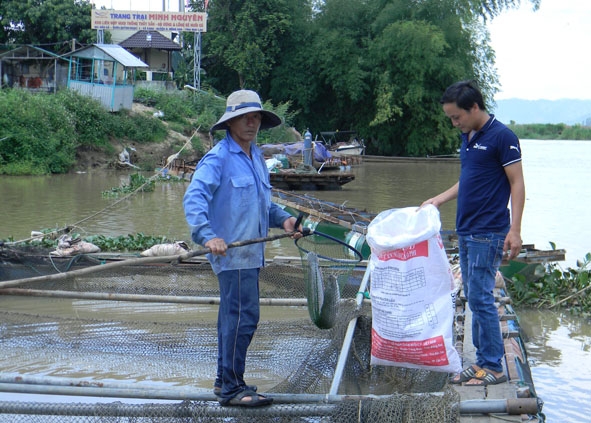 Nuôi thả cá trên dòng Sêrêpốk. 