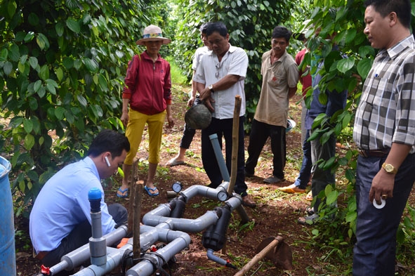 Lắp đặt mô hình tưới nước tiết kiệm cho một hộ dân tại xã Đắk Liêng, huyện Lắk theo hình thức xã hội hóa.