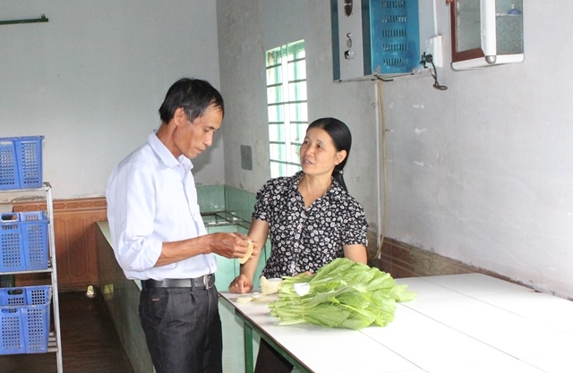 Dán nhãn cho rau tại HTX Nông nghiệp và dịch vụ Toàn Thịnh, huyện Cư M'gar