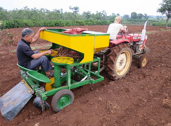 Máy trồng nghệ do anh Hảo sáng chế. 