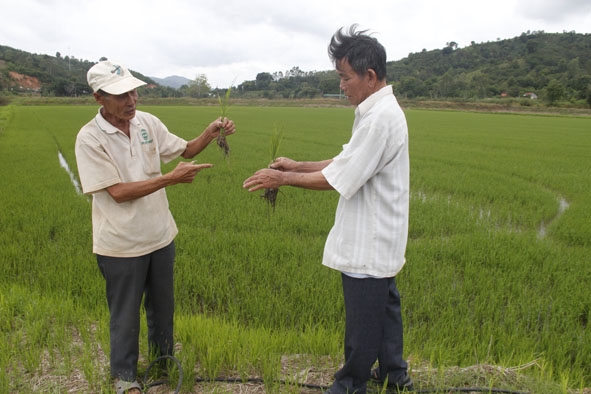 Ông Đoàn Văn Ương chia sẻ kinh nghiệm với người dân.