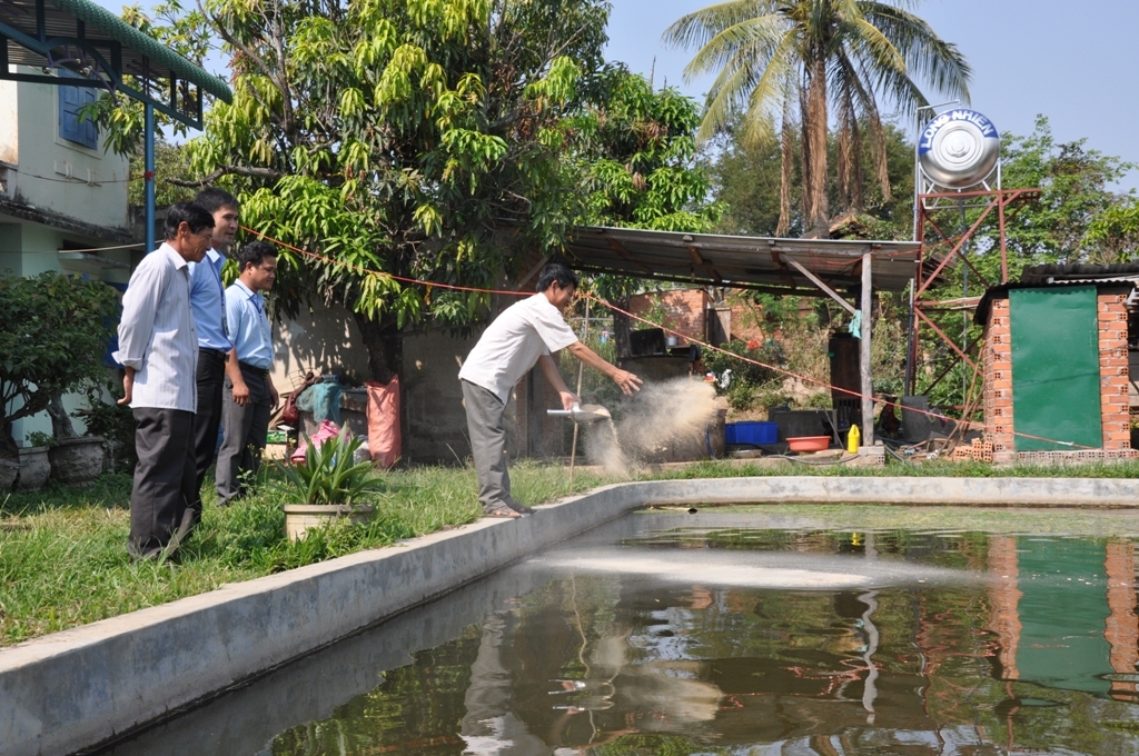 Một mô hình kinh tế hiệu quả từ vốn vay Ngân hàng Chính sách xã hội thông qua Hội Cựu Chiến binh tại huyện K rông Bông