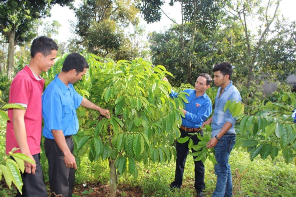 Cán bộ Đoàn xã Ea Yông thăm mô hình phát triển kinh tế của thanh niên tại địa phương.  Ảnh: Vân Anh