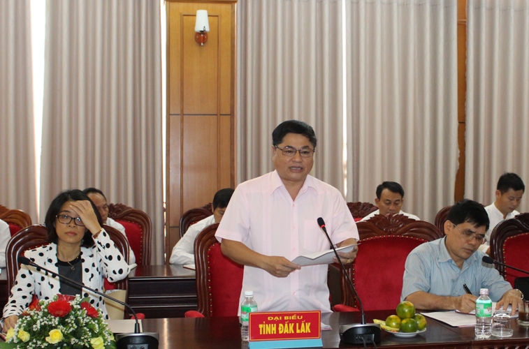 Phó Bí thư Thường trực Tỉnh ủy Phạm Minh Tấn phát biểu tại buổi làm việc.