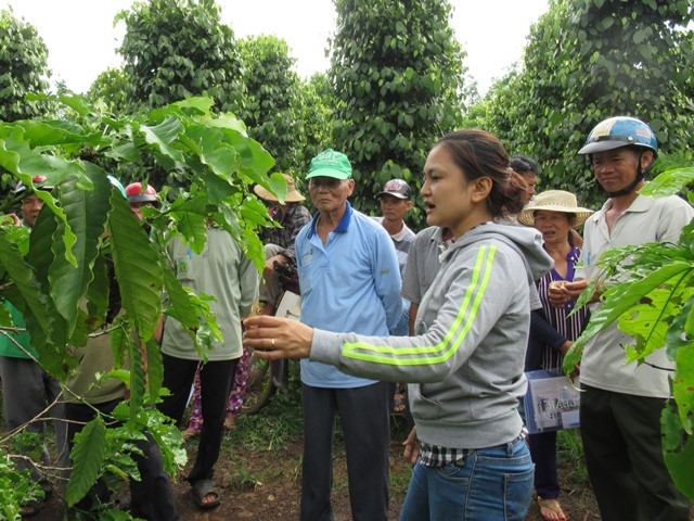 Một lớp tập huấn thuộc Dự án VnSAT tại huyện Krông Pắc