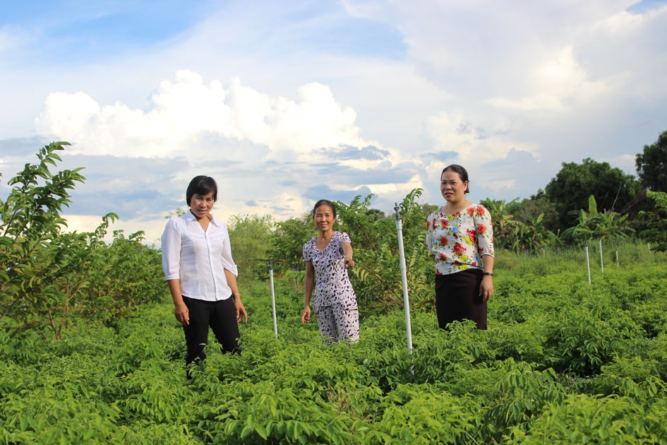 Đại diện Hội Phụ nữ xã Ea Rốk tham quan vườn rau của gia đình bà Phạm Thị Hải (ở giữa)