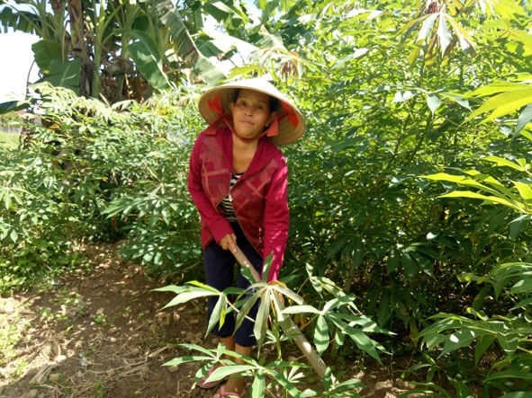 Ngoài giờ lên lớp, cô H’Wôt chăm lo phát triển kinh tế  gia đình.  