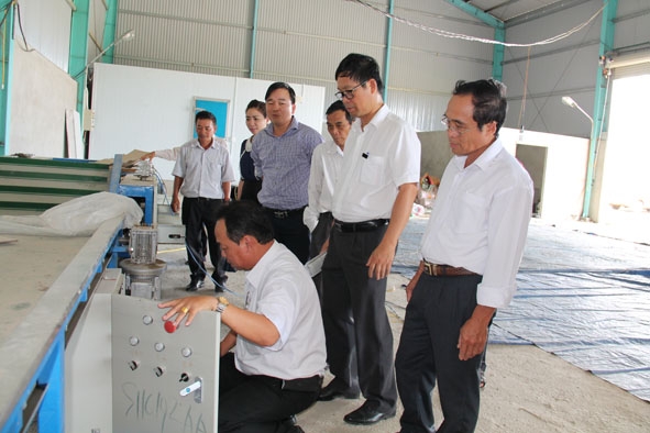 Băng chuyền phân loại  trái chanh dây của HTX  nông nghiệp 714. 
