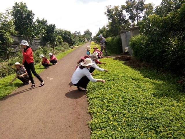 Chị em thôn 1, xã Tân Lập chăm sóc con đường hoa.