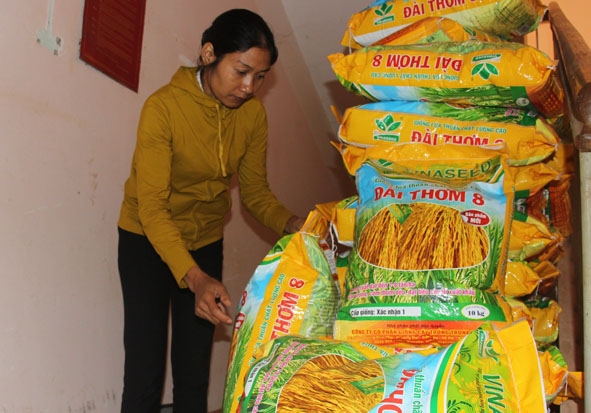 Cán bộ khuyến nông huyện Lắk kiểm tra lúa giống chuẩn bị xây dựng mô hình điểm về giống mới.