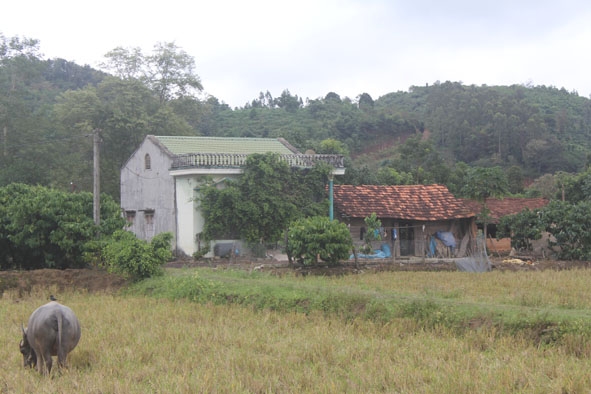 Căn bệnh ung thư trở thành nỗi ám ảnh của người dân ở thôn 10-3, xã Ea Bông.