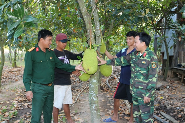 Cán bộ đội sản xuất nông lâm 8 (Đoàn KTQP 737) hướng dẫn các thành viên trong gia đình ông Huệ kỹ thuật chăm sóc vườn mít.  