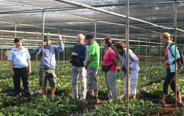 Khách du lịch tham quan vườn ươm cà phê của Viện khoa học Kỹ thuật Nông lâm nghiệp Tây Nguyên. Ảnh: T. Tiến