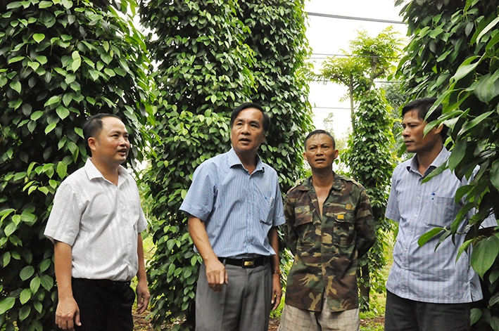 Bí thư Huyện ủy Cư Kuin Lê Thái Dũng (thứ hai từ trái qua) thăm hộ nông dân sản xuất giỏi của huyện.