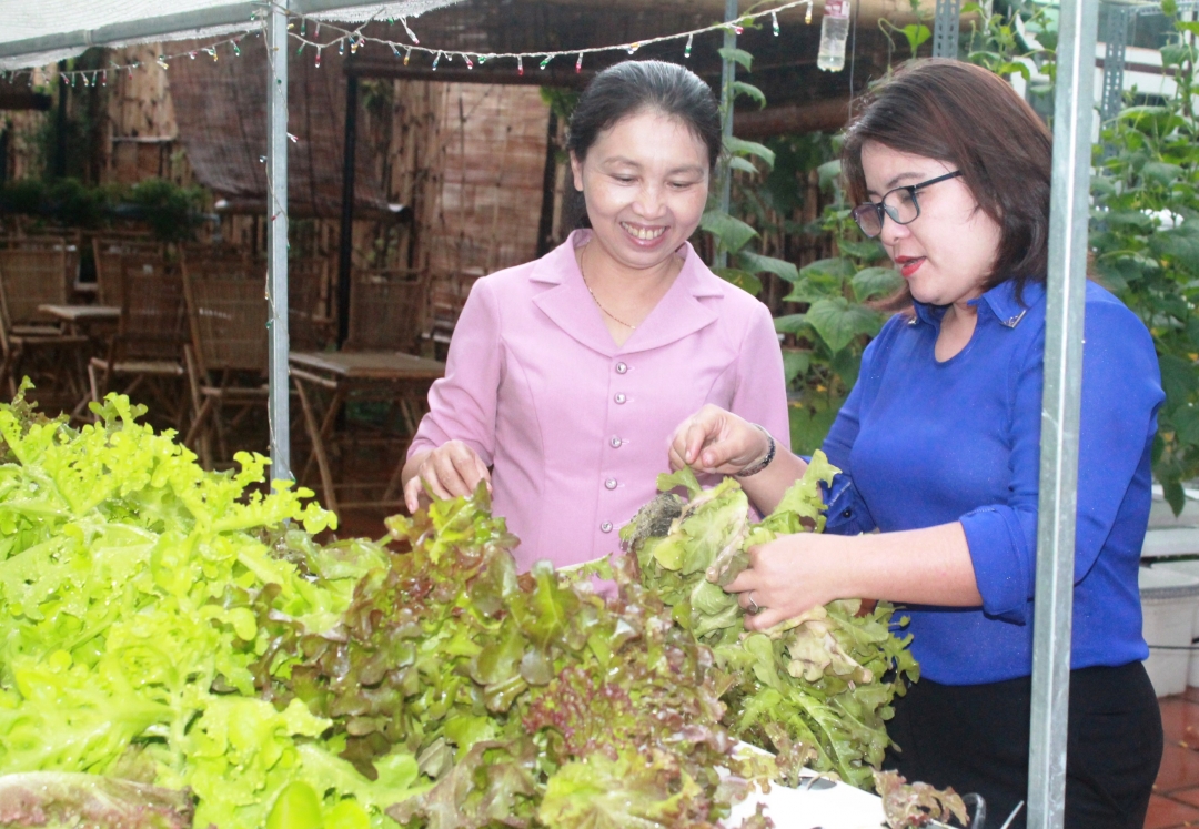 Phó Chủ tịch Hội LHPN tỉnh Nguyễn Thị Thanh Hương (bìa trái) tham quan mô hình trồng rau thủy canh hồi lưu của hội viên.