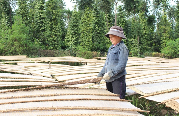 Chị Đinh Thị Thu Linh đang phơi bánh tráng.