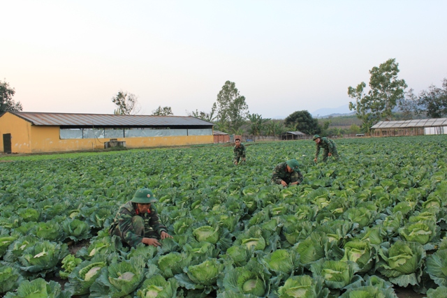 Tăng gia sản xuất để có thực phẩm trong ngày Tết.