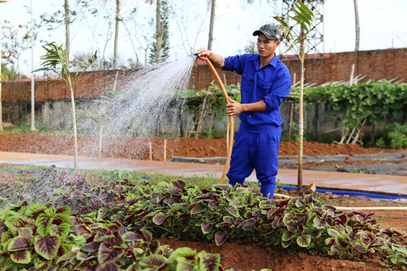 Học viên tại Cơ sở điều trị, cai nghiện ma túy tăng gia sản xuất, cải thiện bữa ăn hằng ngày. 