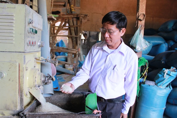 Cán bộ nông nghiệp huyện kiểm tra chất lượng gạo tại một cơ sở xay xát ở thị trấn Ea Súp.