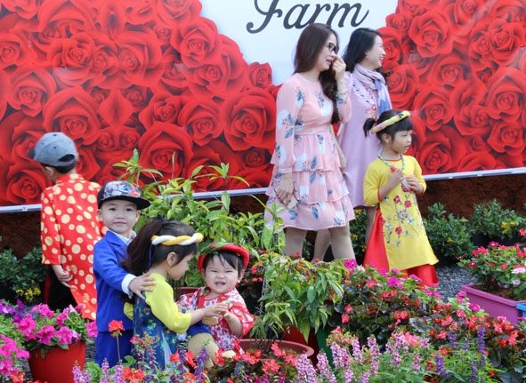 Du khách tham quan Lanh Farm.   