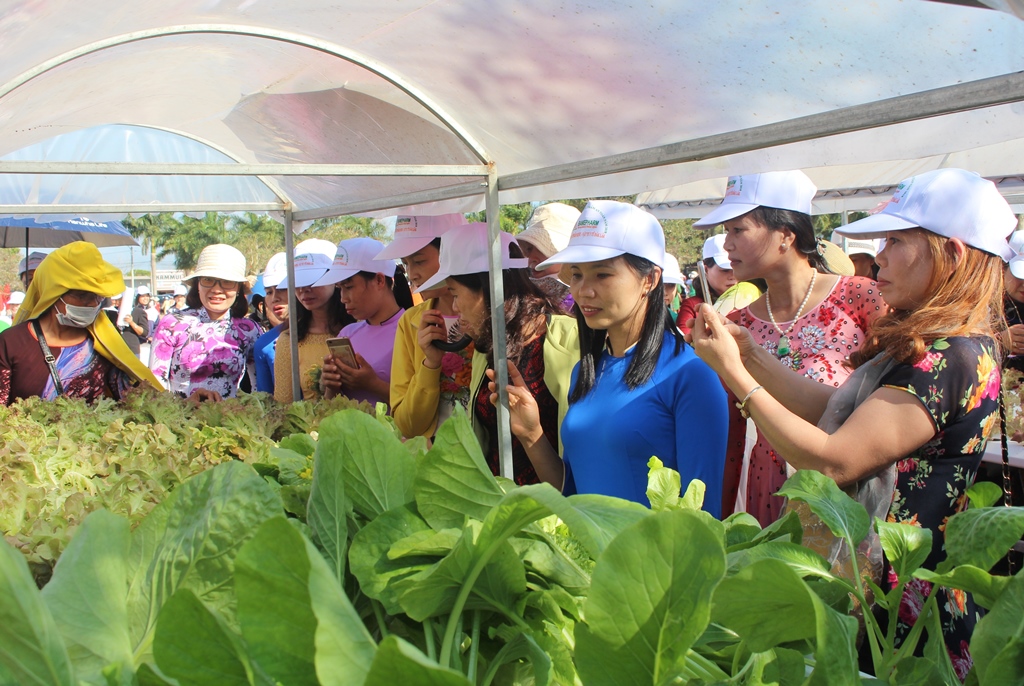 Hội viên phụ nữ tham quan mô hình trồng rau thủy canh tại thị trấn Buôn Trấp