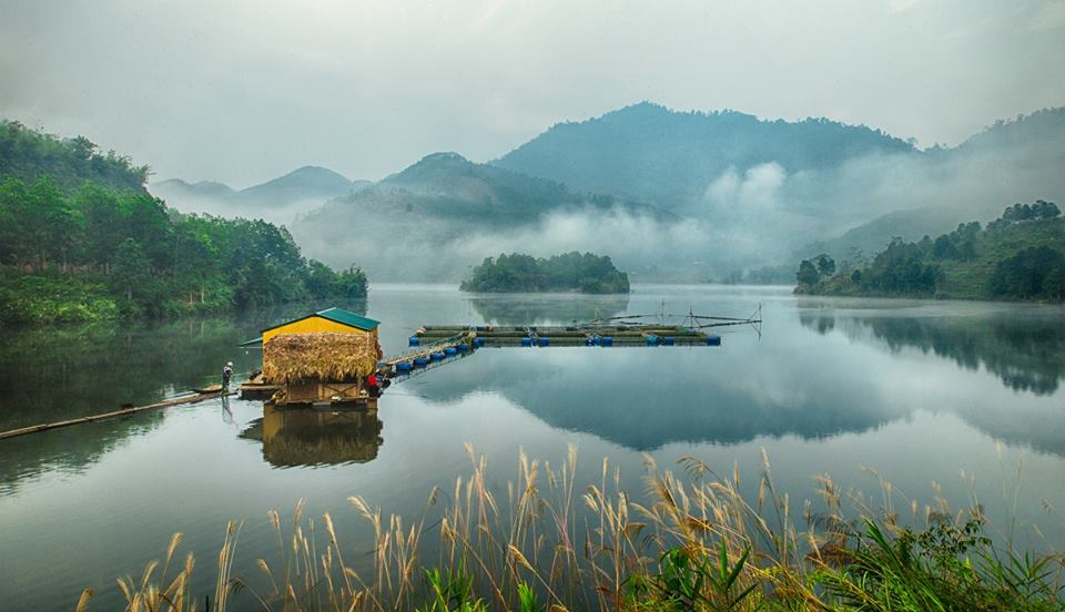 Vẻ đẹp bồng bềnh, hư ảo của rừng Xuân Sơn.