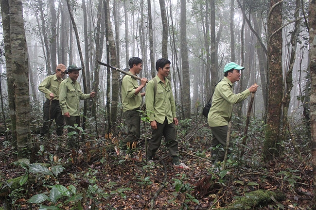 Kiểm lâm Vườn Quốc gia Chư Yang Sin tuần tra quản lý bảo vệ rừng. 