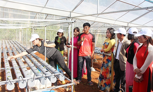 Cán bộ Hội LHPN tỉnh tham quan mô hình sản xuất rau sạch của hội viên phụ nữ thị trấn Buôn Trấp, huyện Krông Ana. 