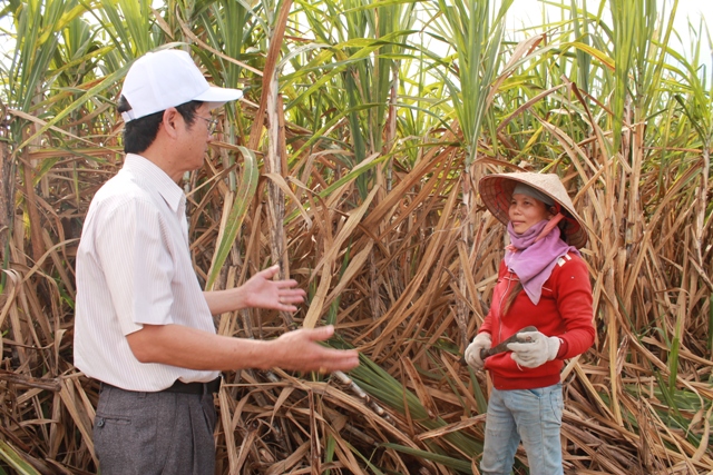 Lãnh đạo Phòng Nông nghiệp và Phát triển nông thôn huyện M’Đrắk kiểm tra, thăm hỏi tình hình thu hoạch mía của nông dân trên địa bàn xã Ea Pil. 