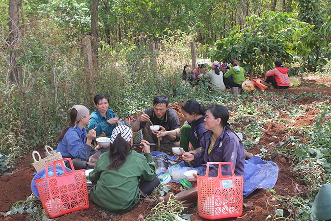 Những tiếng cười thi thoảng cất lên trong lúc ăn cơm trưa giúp họ tạm quên đi mệt nhọc.