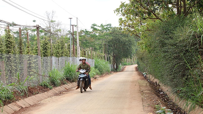  Một  tuyến đường  ở thôn Tân Quảng khang trang, sạch đẹp  từ sự  đóng góp  của  nhân dân.