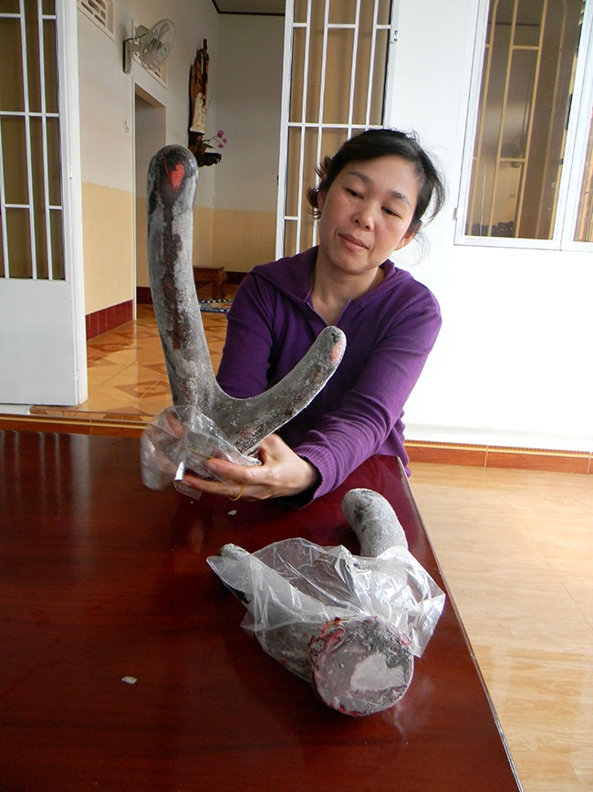 Chị Nguyễn Thục Trâm giới thiệu sản phẩm nhung nai vừa mới  thu hoạch. 