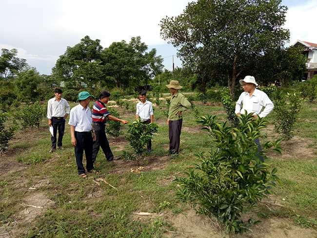 Một mô hình  sản xuất  công nghệ cao  tại xã  Cư Prao. 