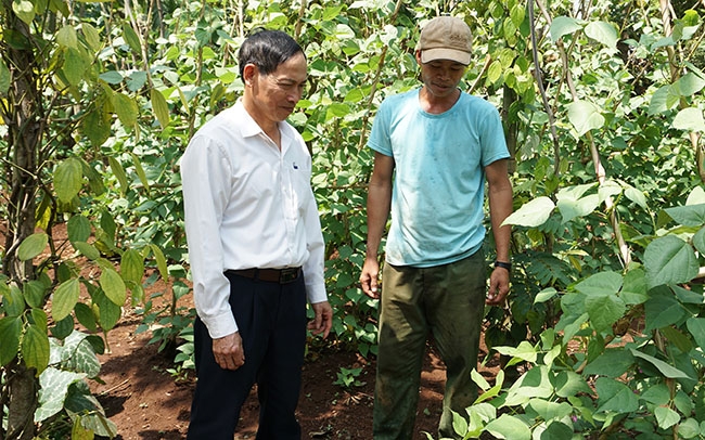 Bí thư Chi bộ buôn Êcăm Đinh Duy Tiên  (bìa trái) thường xuyên gặp gỡ, động viên người dân tập trung tăng gia sản xuất.